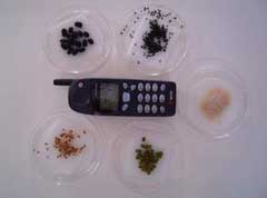Cell phone radiation test on plants.